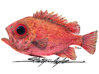 Strategic Angler